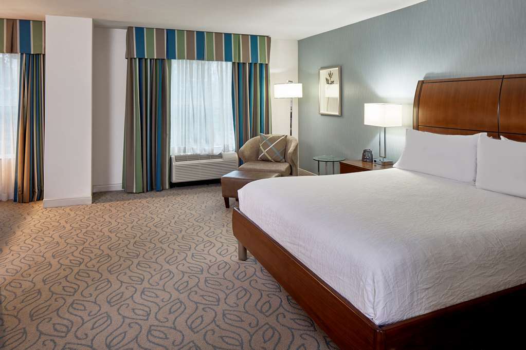 Hilton Garden Inn Atlanta Midtown Værelse billede