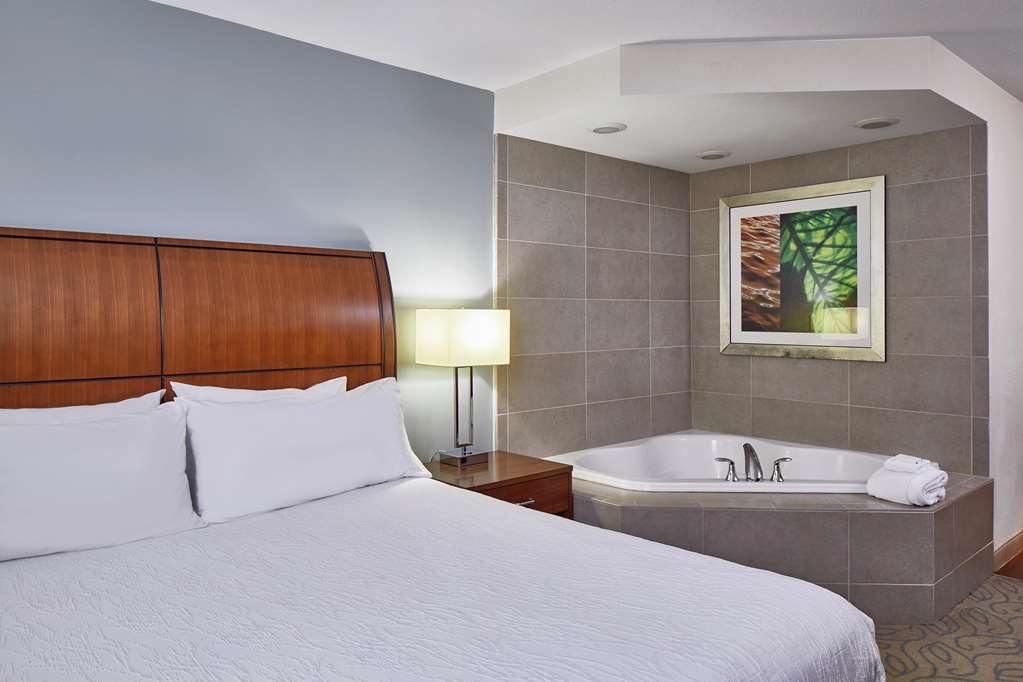 Hilton Garden Inn Atlanta Midtown Værelse billede